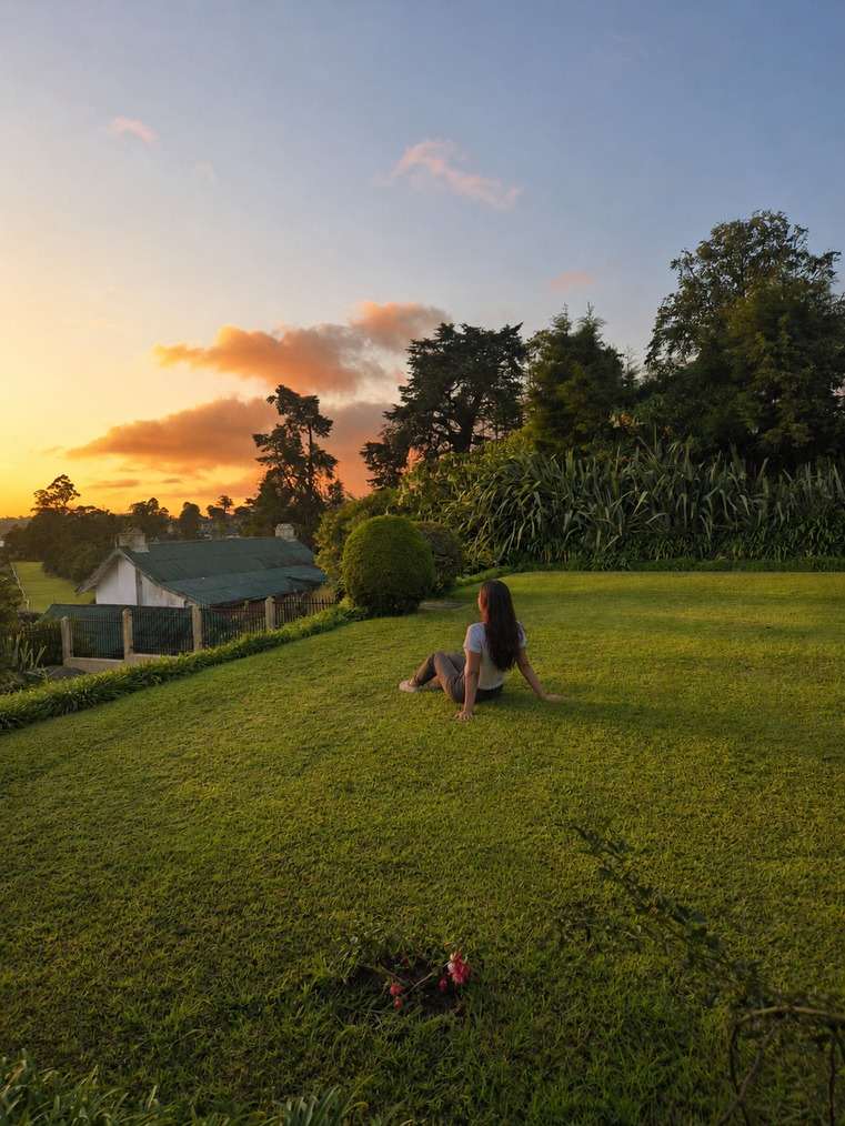 Evening over the lawn: a pastel sky, trees and a figure sitting on the grass.
