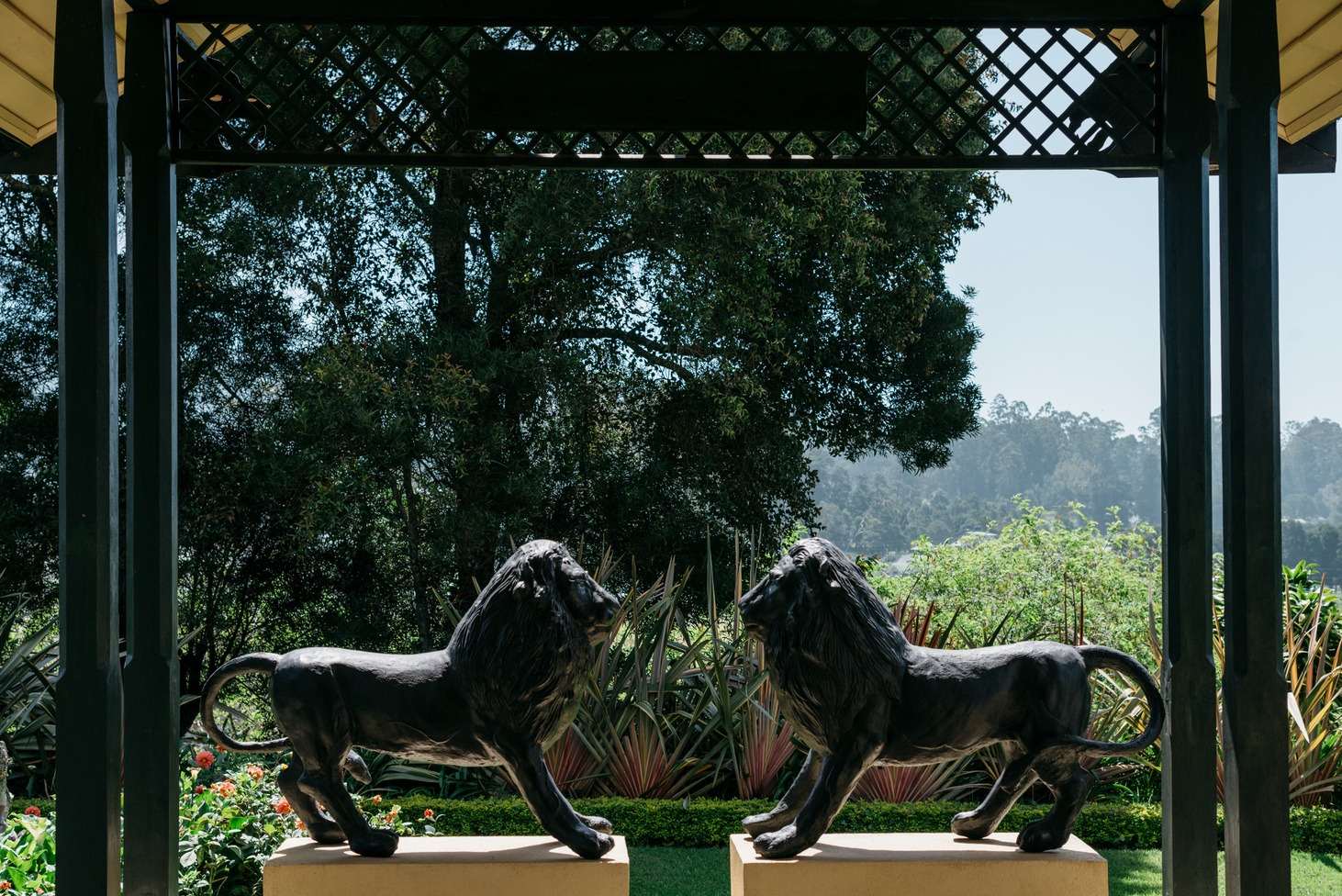 Two dark lion statues facing each other on a cream plinth beneath the lattice of the entrance pavilion, the garden behind.